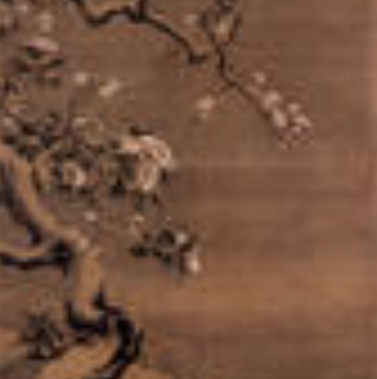 沈南蘋